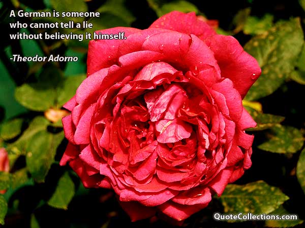 Theodor Adorno Quotes3